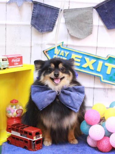 20230425アンバーちゃん